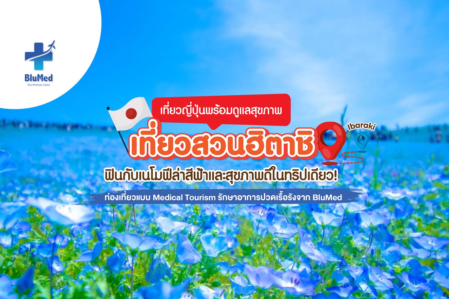เที่ยวสวนฮิตาชิ ฟินกับเนโมฟีล่าสีฟ้าและสุขภาพดีในทริปเดียว!